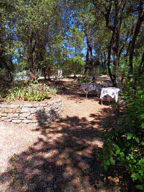 jardin,Garten,garden jardin,Garten,garden