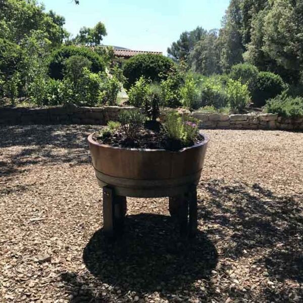 Jardin, Garten, garden Pflanzkübel im Garten von La Cigale Provence