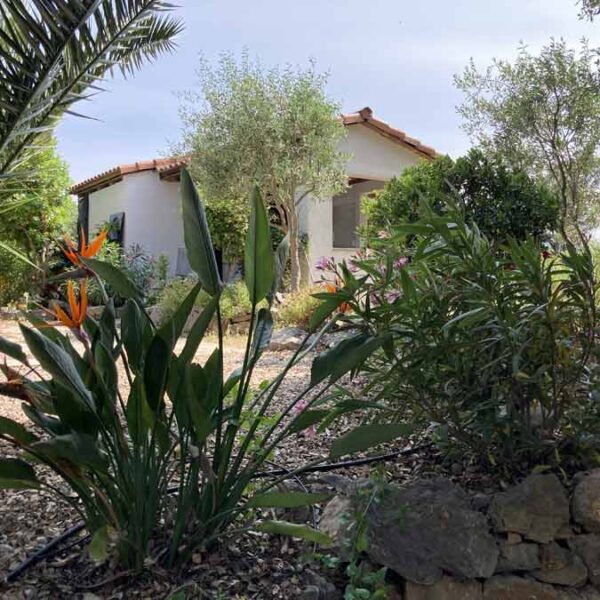 Fleur de paradis Fleur de paradis