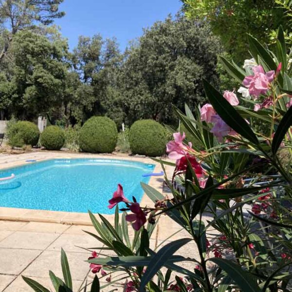 Piscine et laurier-rose Piscine et laurier-rose